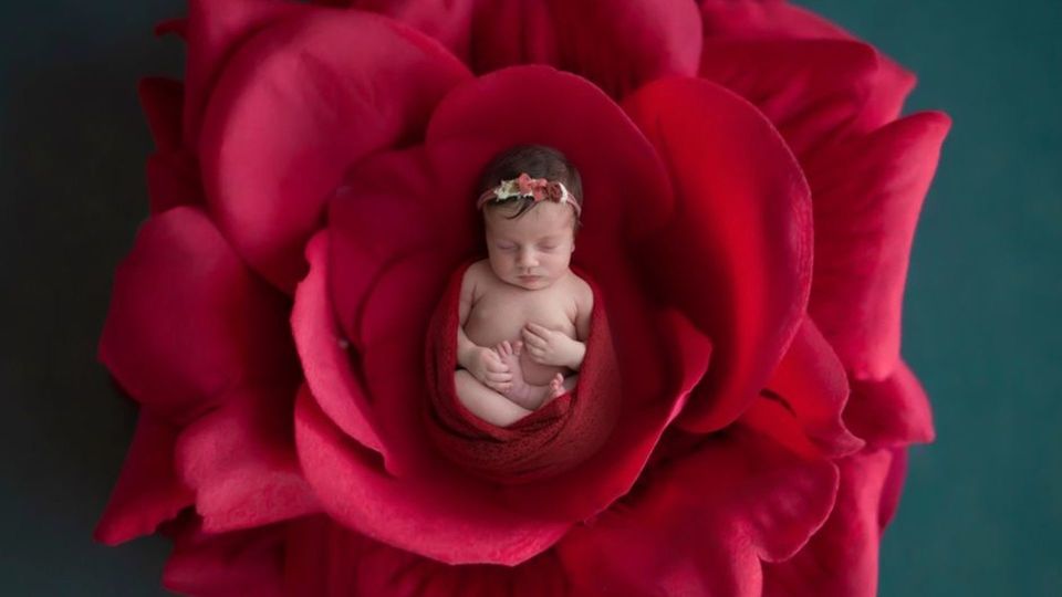 Linda Helena -  12 dias de nascida