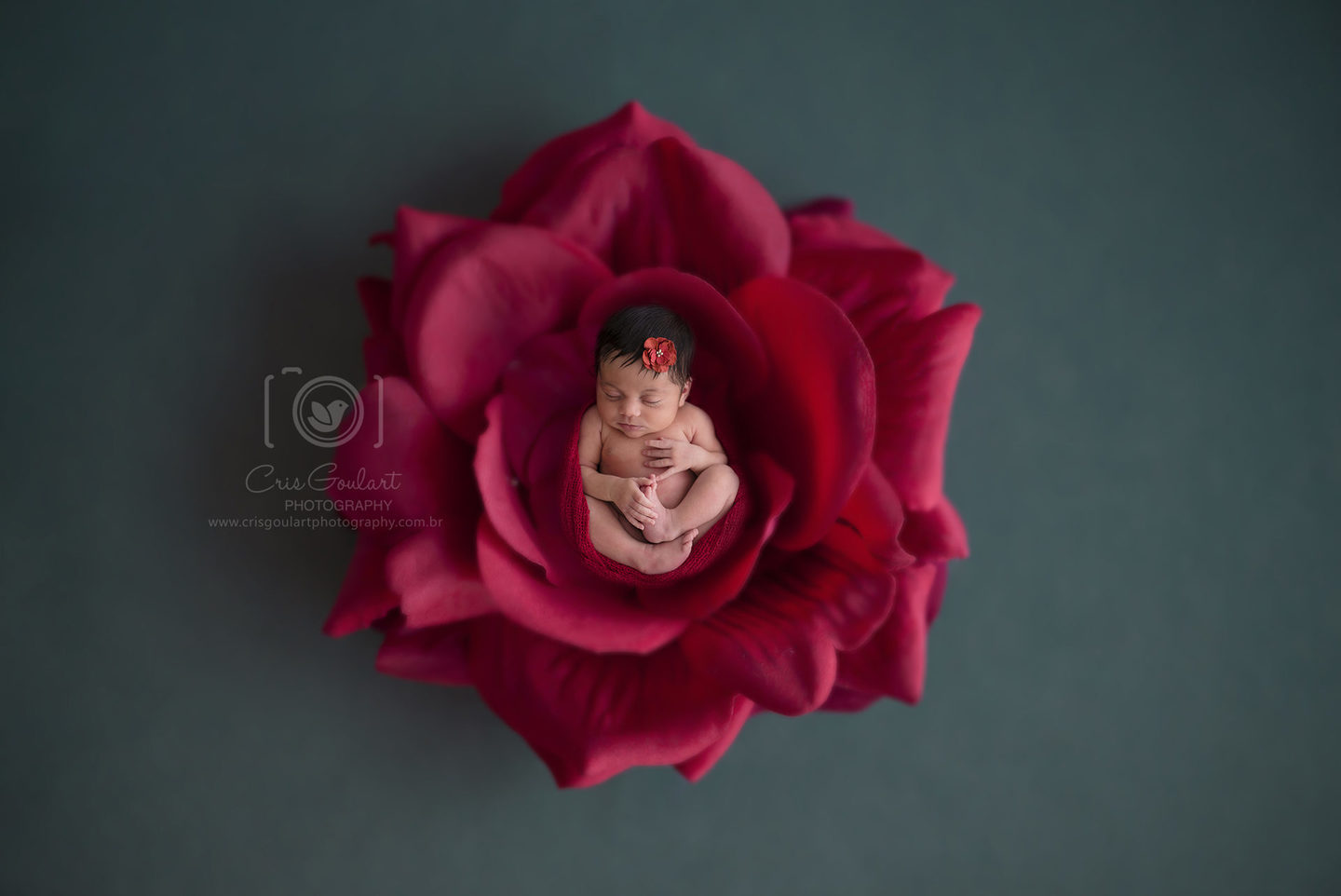Newborn Newborn